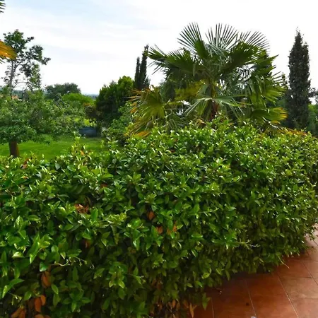 Casa vacanze Mit Privatpool Fuer 6 Personen Ca, 165 M Sup2 In Kosinozici, Istrien Und Umgebung
