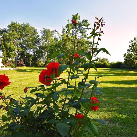 Vakantiehuis Mit Privatpool Fuer 6 Personen Ca, 165 M Sup2 In Kosinozici, Istrien Und Umgebung